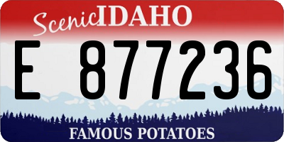 ID license plate E877236