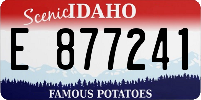 ID license plate E877241