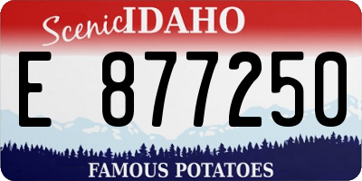 ID license plate E877250