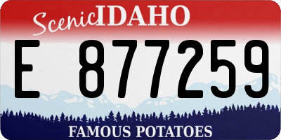 ID license plate E877259