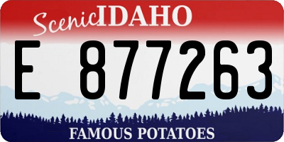 ID license plate E877263