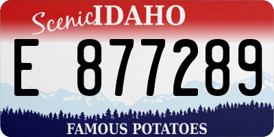 ID license plate E877289
