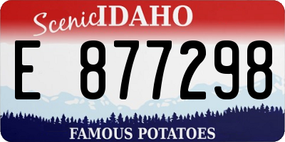 ID license plate E877298