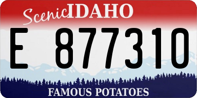 ID license plate E877310