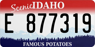 ID license plate E877319