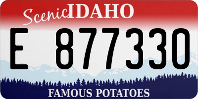 ID license plate E877330