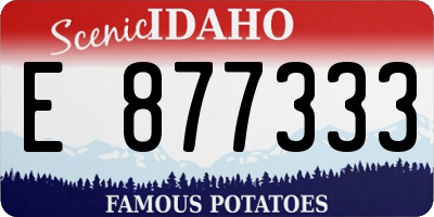 ID license plate E877333