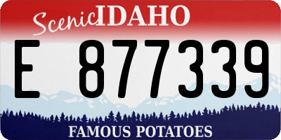 ID license plate E877339
