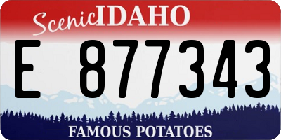 ID license plate E877343