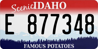 ID license plate E877348