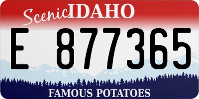 ID license plate E877365
