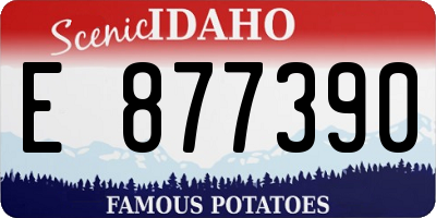 ID license plate E877390