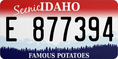 ID license plate E877394