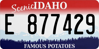 ID license plate E877429