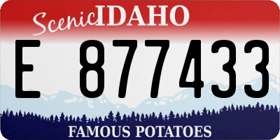 ID license plate E877433