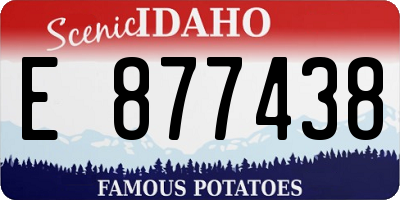 ID license plate E877438