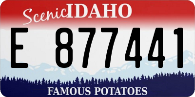 ID license plate E877441