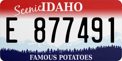 ID license plate E877491