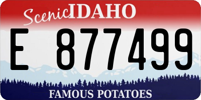 ID license plate E877499