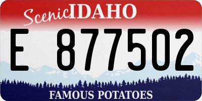 ID license plate E877502