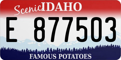 ID license plate E877503