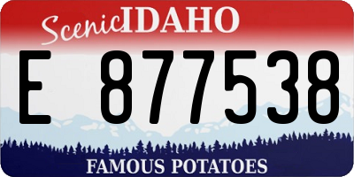 ID license plate E877538