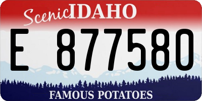 ID license plate E877580