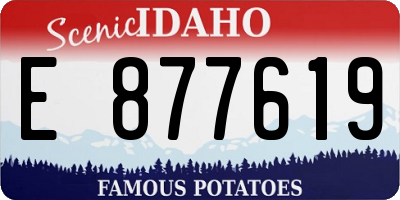 ID license plate E877619