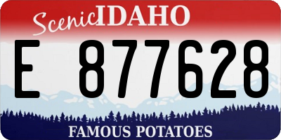 ID license plate E877628