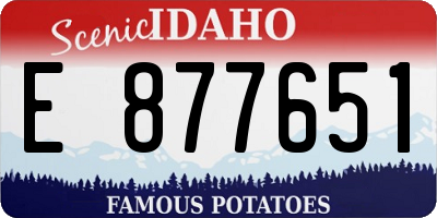 ID license plate E877651
