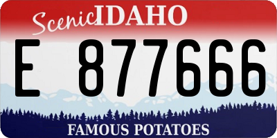 ID license plate E877666