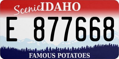 ID license plate E877668