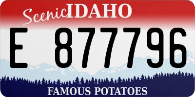 ID license plate E877796