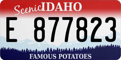 ID license plate E877823