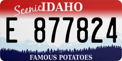 ID license plate E877824