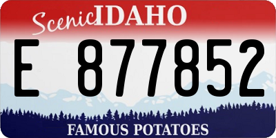 ID license plate E877852
