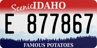 ID license plate E877867