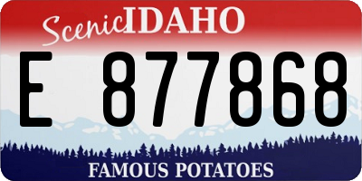 ID license plate E877868