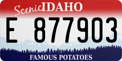 ID license plate E877903