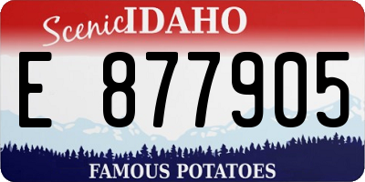 ID license plate E877905