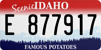 ID license plate E877917