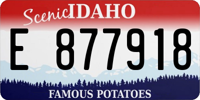 ID license plate E877918