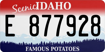 ID license plate E877928