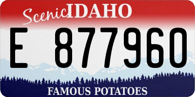 ID license plate E877960
