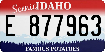 ID license plate E877963