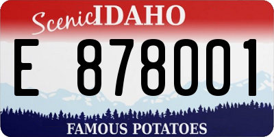 ID license plate E878001