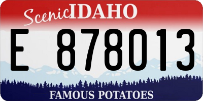 ID license plate E878013