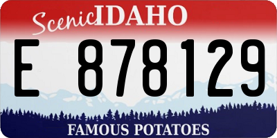 ID license plate E878129