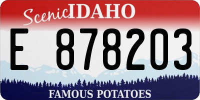 ID license plate E878203