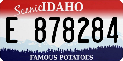 ID license plate E878284
